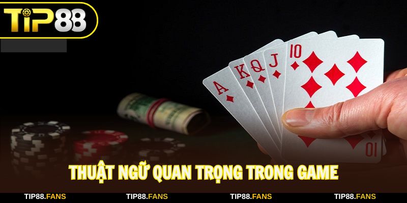 Cách chơi bài Phỏm với thuật ngữ đặc trưng cần biết