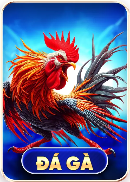 Đá gà