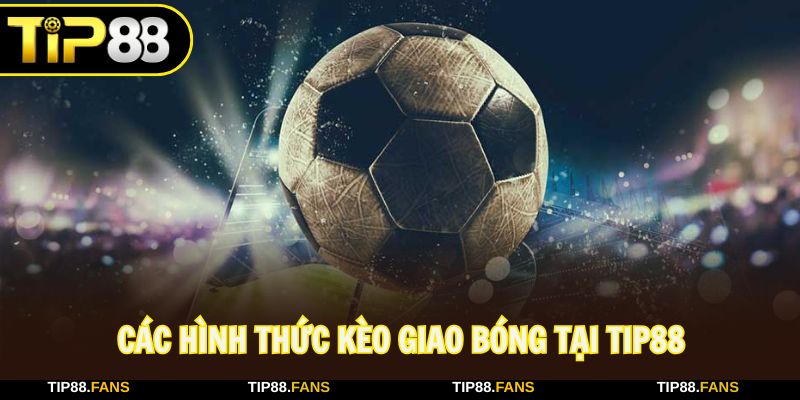 Người chơi nên kết hợp các hình thức cược tại Tip88