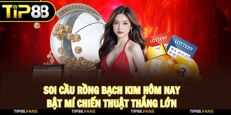 Bật mí chiến thuật soi cầu Rồng bạch kim chắc ăn, thắng lớn