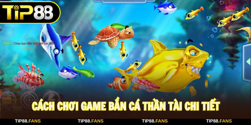 Tham khảo cách chơi bắn cá thần tại cực chuẩn tại Tip88
