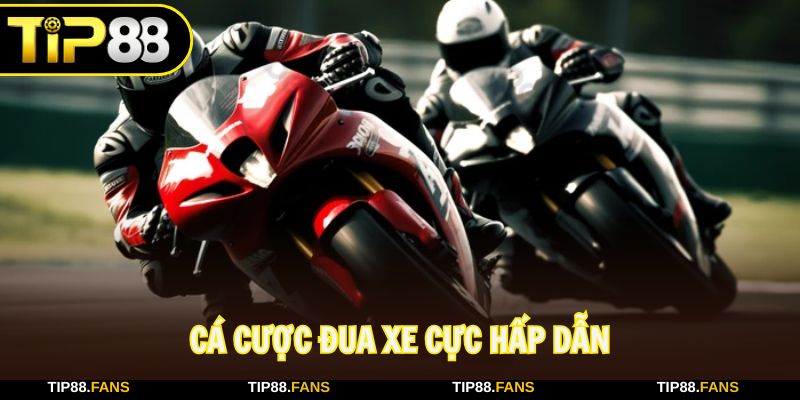 Cá cược đua xe để có trải nghiệm mới mẻ, hấp dẫn