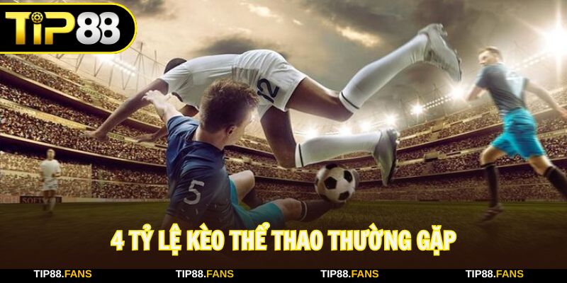 Chi tiết luật chơi 4 tỷ lệ kèo thể thao được ưa chuộng