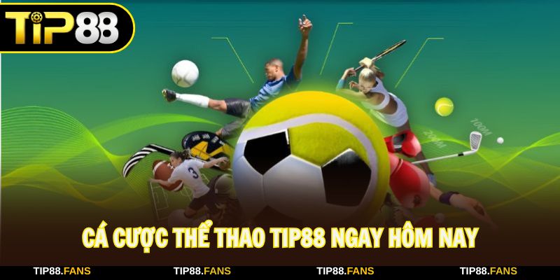 Không bao giờ nhàm chán khi tham gia cá cược thể thao TIP88