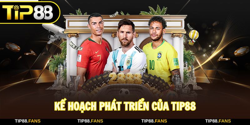 Chúng tôi không ngừng phát triển và mở rộng bản thân